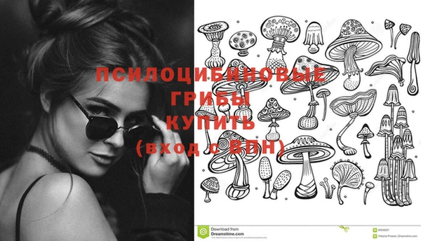 бутират Алексин