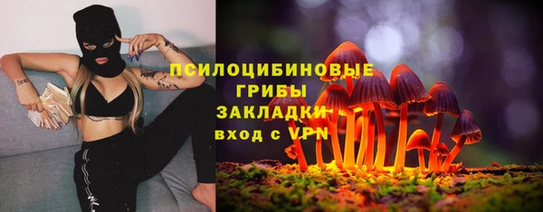 скорость Алзамай